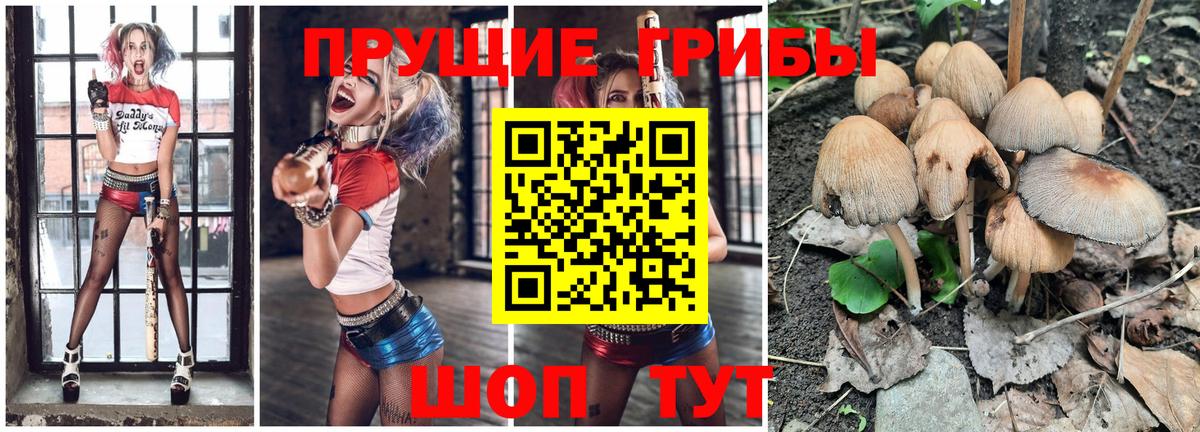 Белебей  Псилоцибиновые грибы Psilocybe  Псилоцибиновые грибы мицелий  закладки  Вход с VPN 