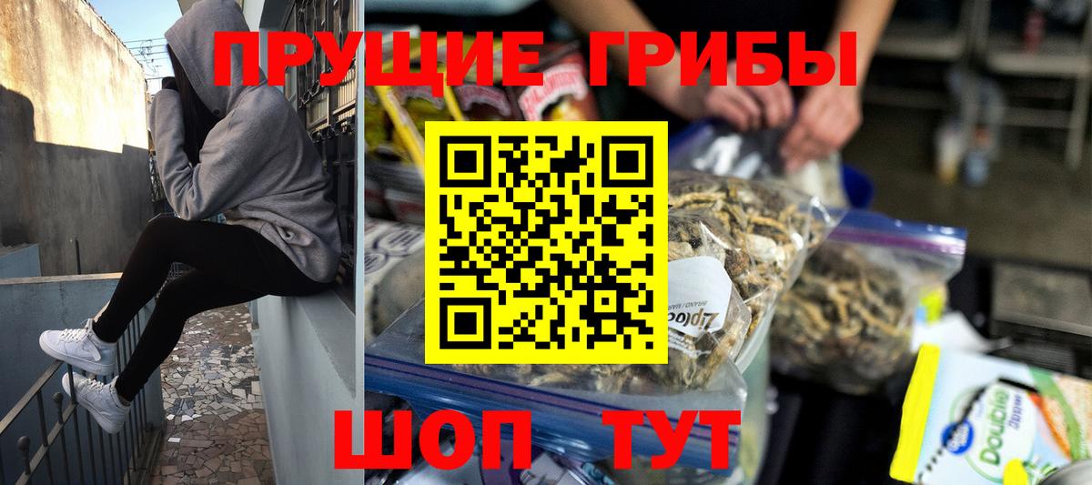 Псилоцибиновые грибы прущие грибы Белебей