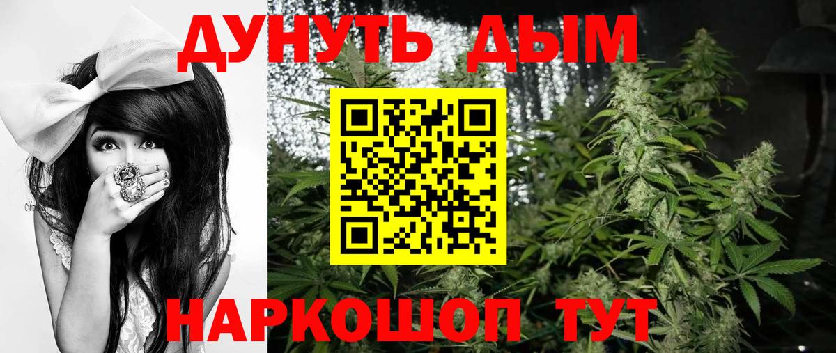 Каннабис планчик  Каннабис сатива  Белебей  Вход с VPN 